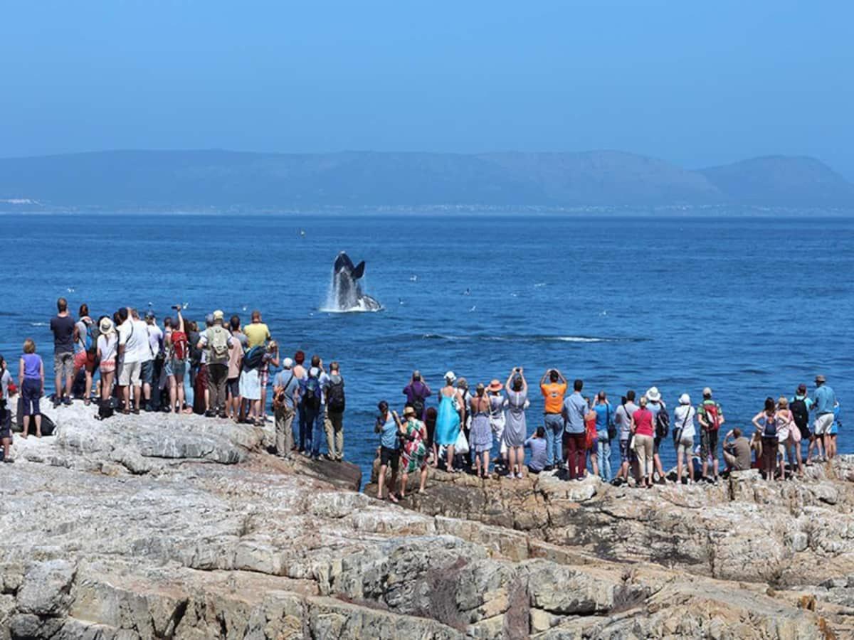 Hermanus Waterfront Apartment Rom bilde
